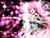 Negimagi