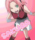 sakurafan200