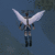 Cupidus Cupidus