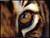 ShadowCat21