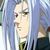 ShinSinX