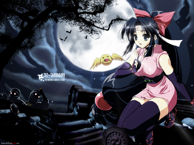 2x2 Shinobuden (sub esp) - 