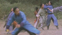 Martial Arts Theater