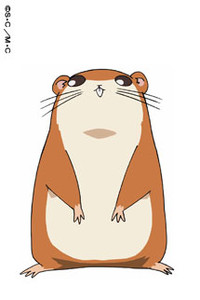 Chikubi