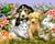 animals855