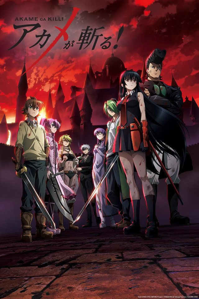 Resultado de imagem para akame ga kill