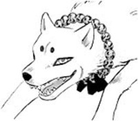 Madarao