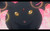 amu_chan_XD
