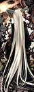 Marquise_de_Neige