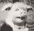 Gallows Gallows
