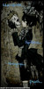 LLawliet06