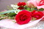 gokweya_029