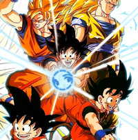 Goku Birthday