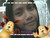 fershya