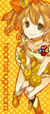 heartsshugochara