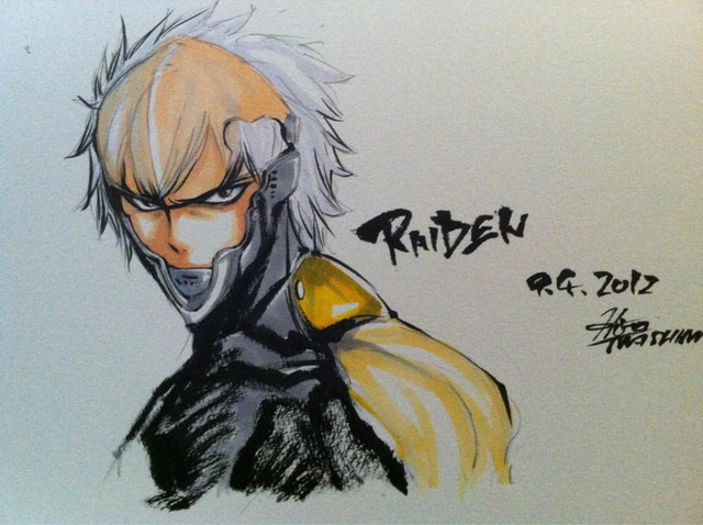 Raiden Hairstyle