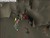 Runescape - Horror from the deep