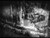 Fatal Frame III: The Tormented - Cutscene 36