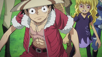 huh — 🍊 ONE PIECE: HEART OF GOLD • Não reposte