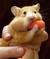 iEat