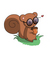 GodOfSquirrel