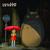 star_aristo star_aristo