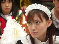 Maid in Akihabara
