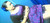 sha_nhel