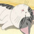 Kuro-Meow Kuro-Meow