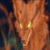 meangif