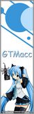 GTMacc