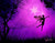 purplefarie