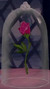 crescentmoon17 crescentmoon17