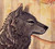 esperwolf
