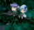 miki-n-yoru