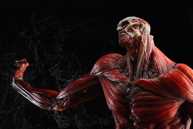 colossal titan statue by good smile company