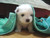 PANdA_ANNE