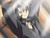 blackcat1312