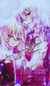 Zelle-Chan
