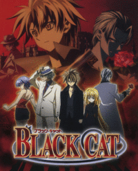 Black Cat