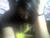 yagami_ligth