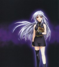 Reinforce Zwei