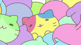 Takeover Cats / Squish Waves / Stuff That Always Happens / Expected / Squish Cats March / Um...