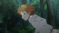 Ranking de Popularidade - Página de Yakusoku no Neverland