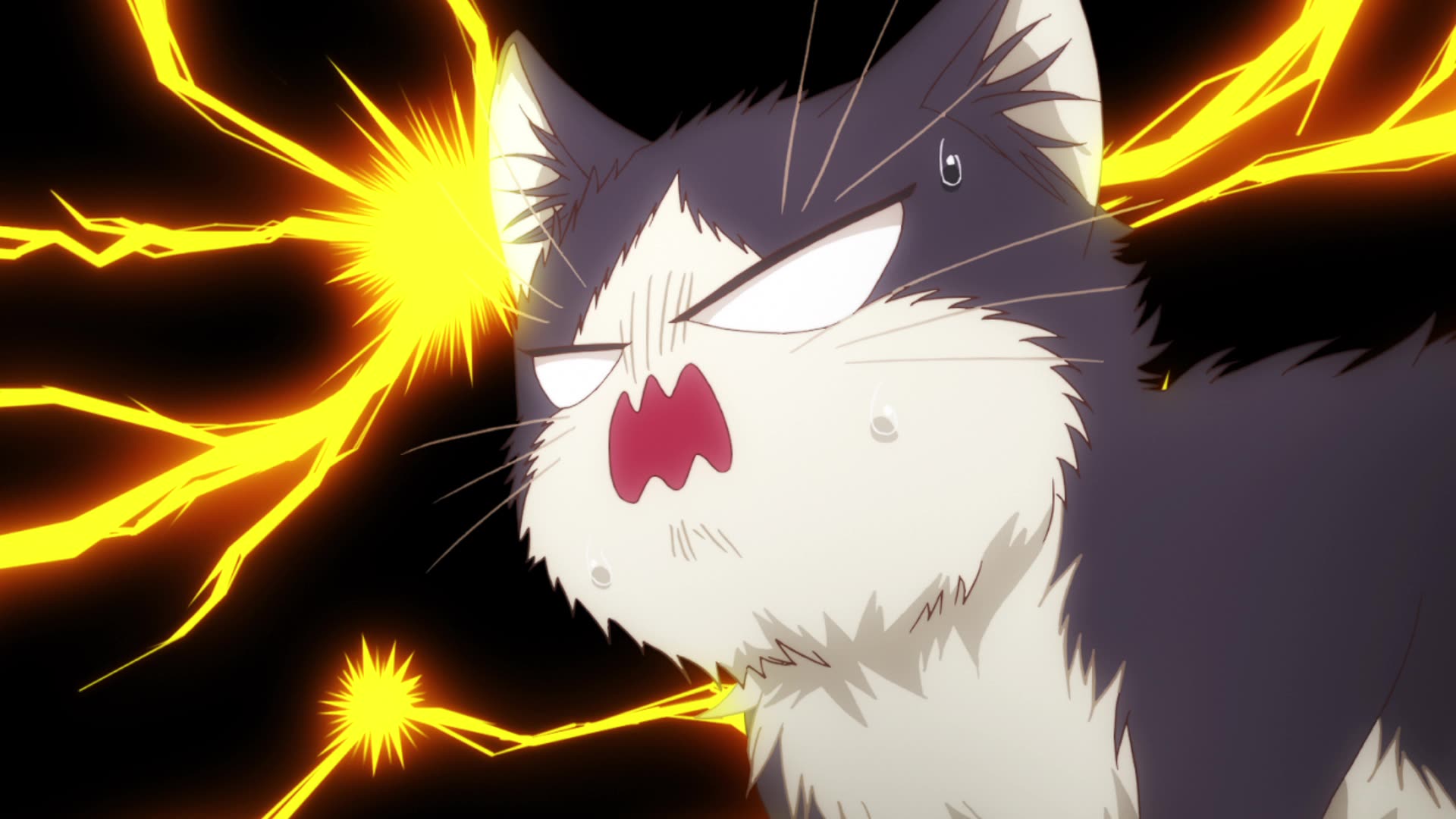 Злая кошка аниме