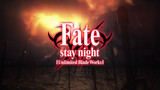 Fate/stay night - PV 2 (Special)