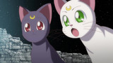Sailor Moon Crystal (Eps 1-26) Episode 14