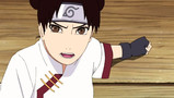 Naruto Shippuden: The Assembly of the Five Kage Episode 219