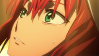 Mahoutsukai no Yome (The Ancient Magus' Bride) 