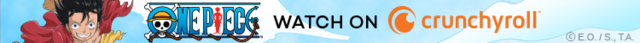 One Piece Banner